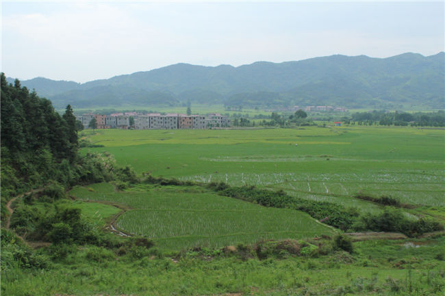 基地展示